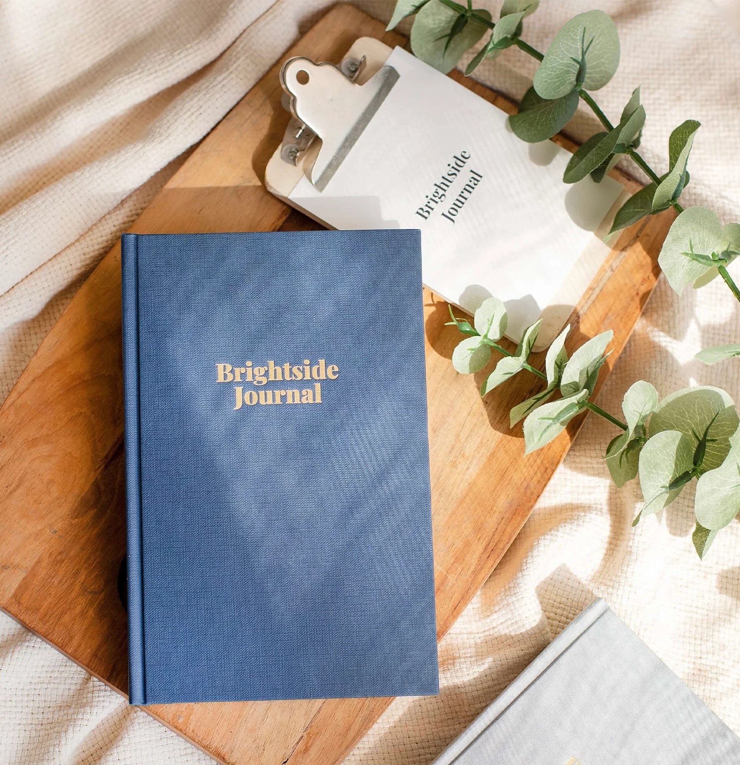 Gratitude Journal & Diary - Blue