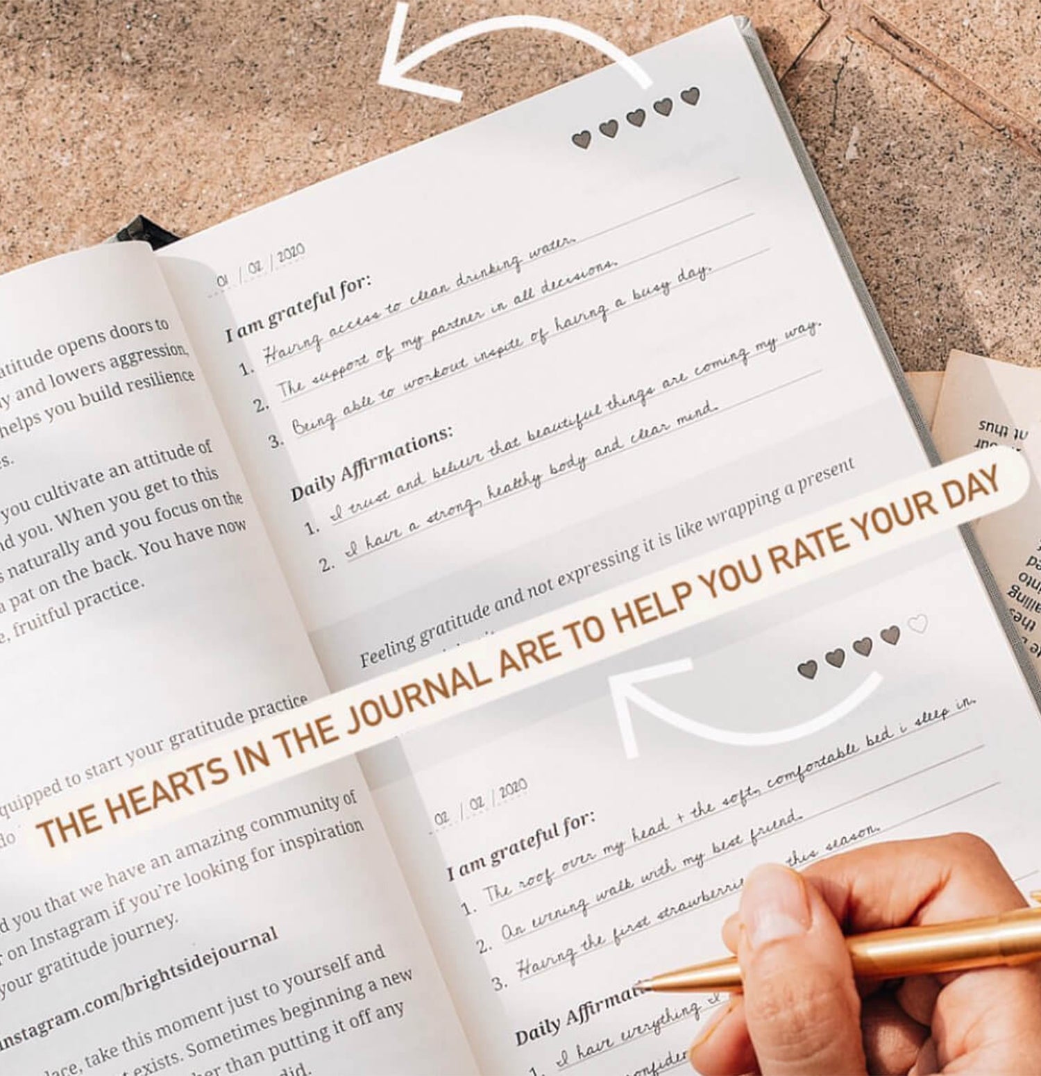 Gratitude Journal & Diary - Forest