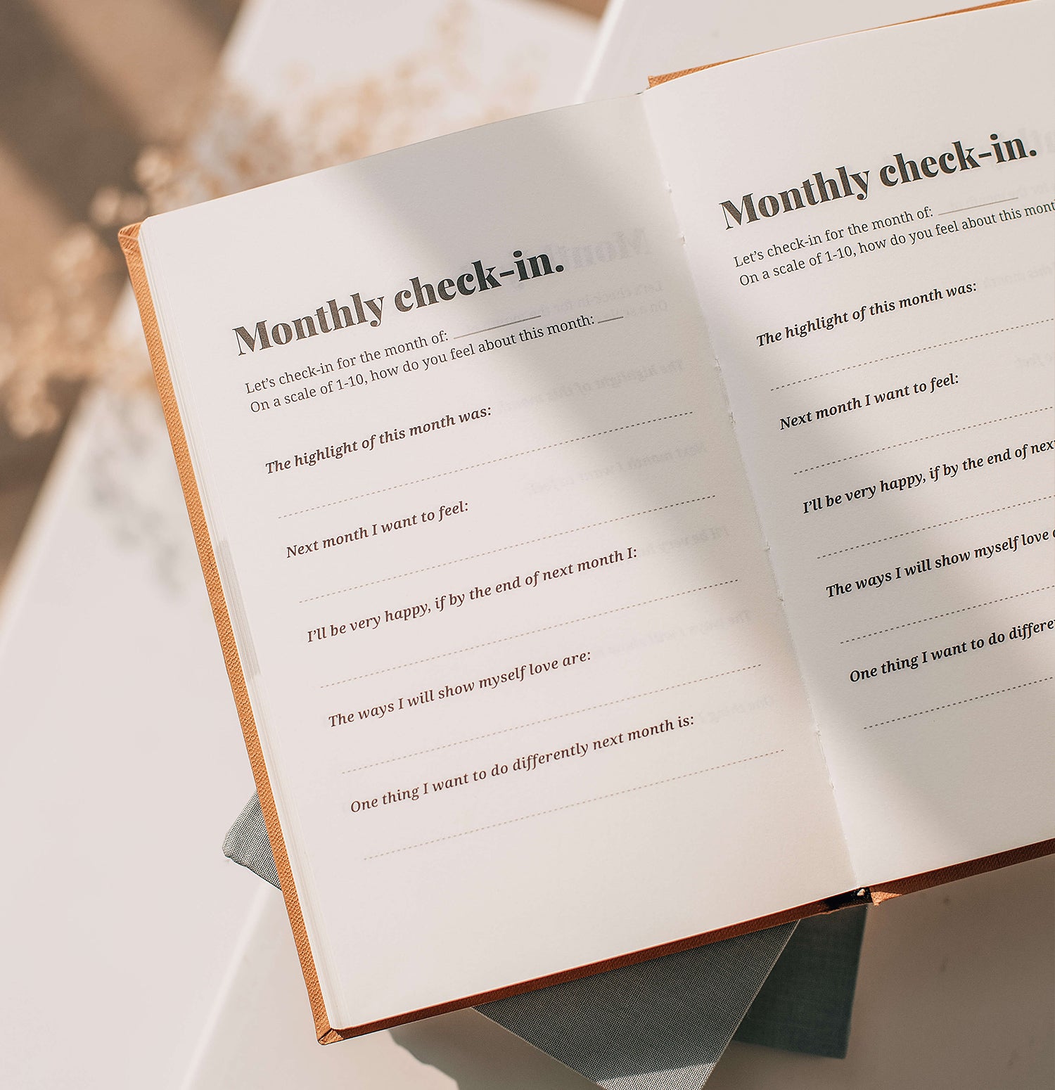Gratitude Journal &amp; Diary - Sierra
