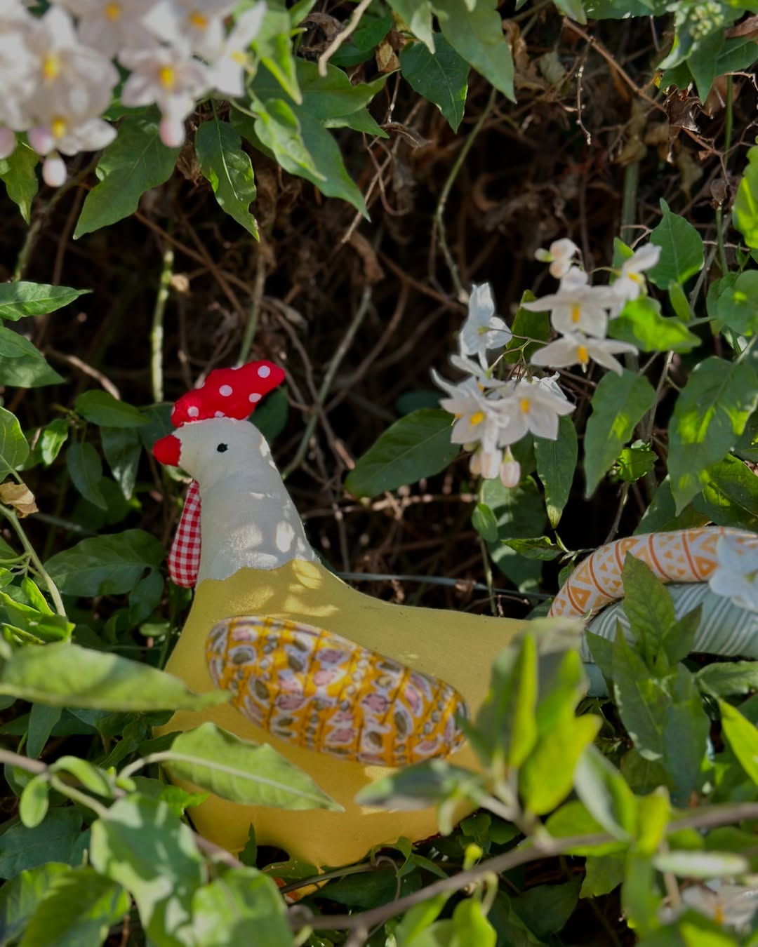 Silly Billy the Rooster