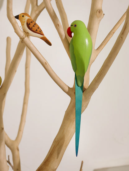Indian Parakeet (Set of 2)
