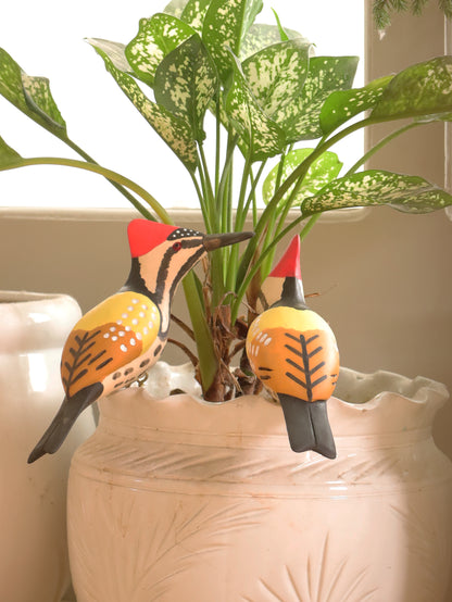 Scarlet Drummer (Set of 2)