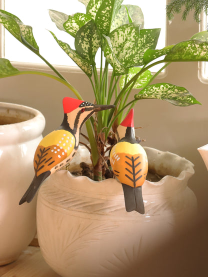 Scarlet Drummer (Set of 2)