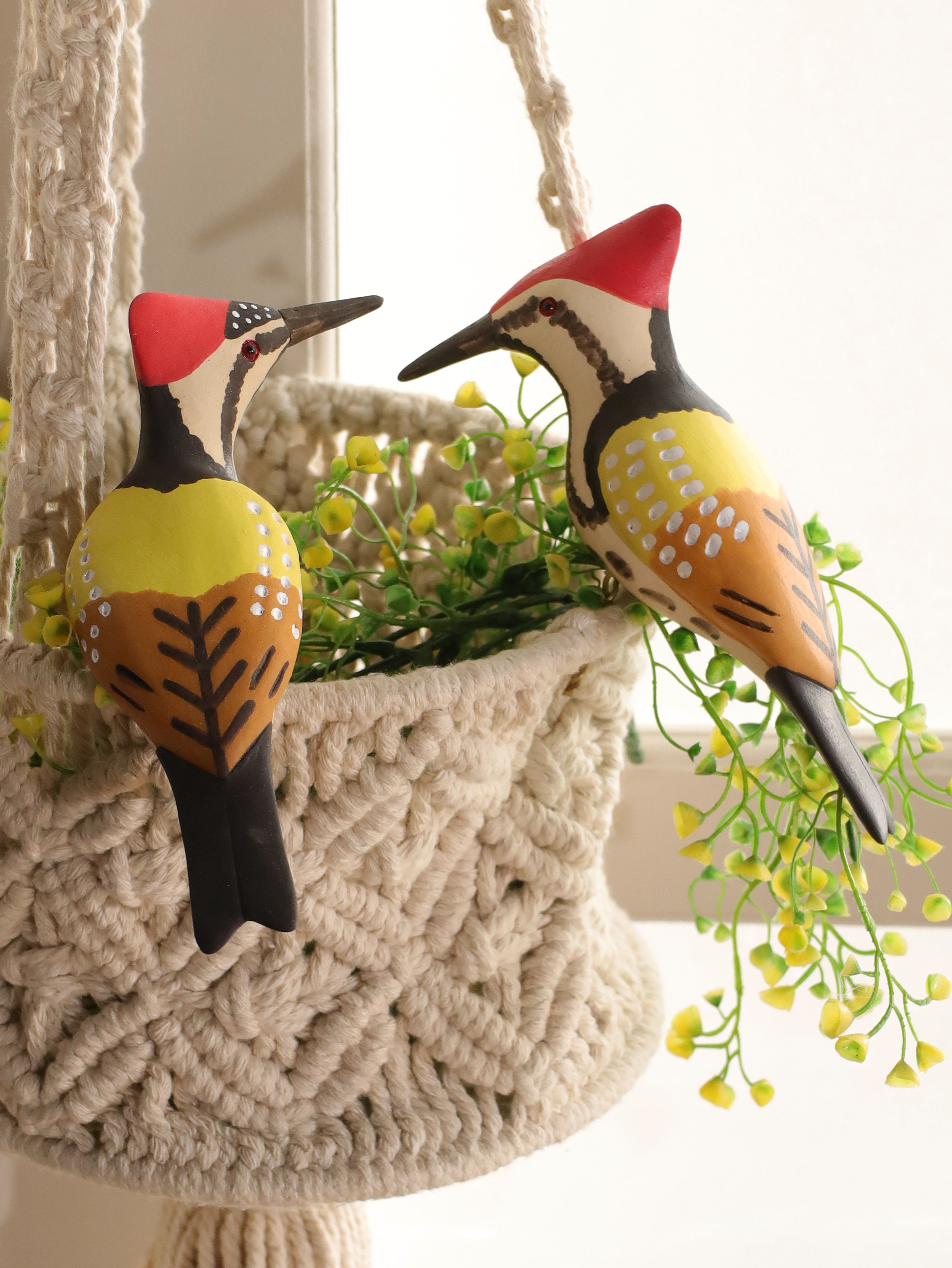 Scarlet Drummer (Set of 2)