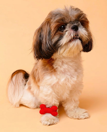 Pet Rakhi